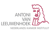 Antoni van Leeuwenhoek